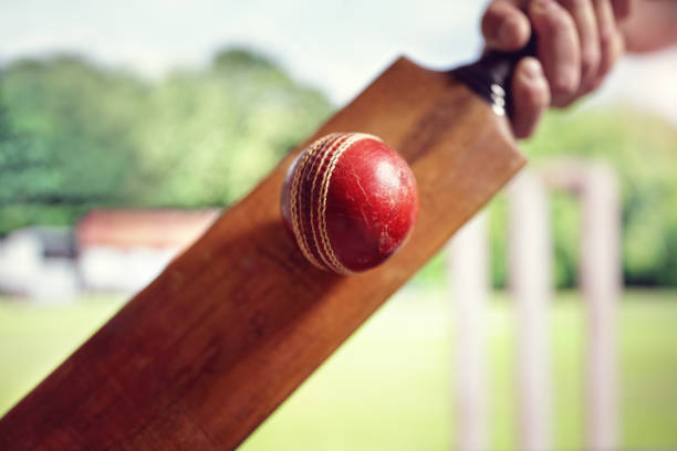 Assessing the impact of weather conditions on cricket betting strategies