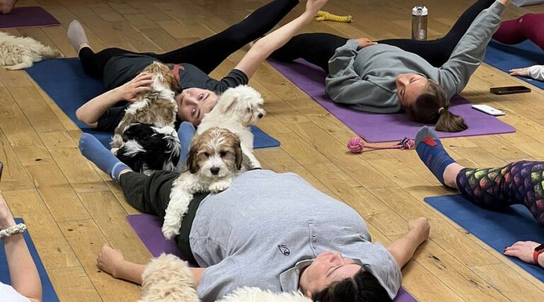 Puppy Yoga UK – Discover the Joy of Yoga With Dogs at The Paw Studio